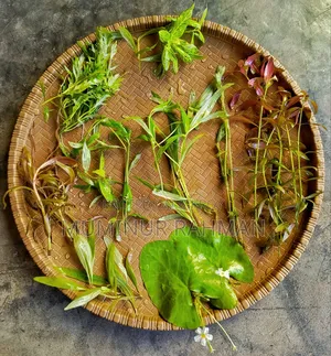 অ্যাকোয়ারিয়াম প্ল্যান্ট ট্রিমিং অফার