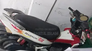 Bir Magnum 2024 Red