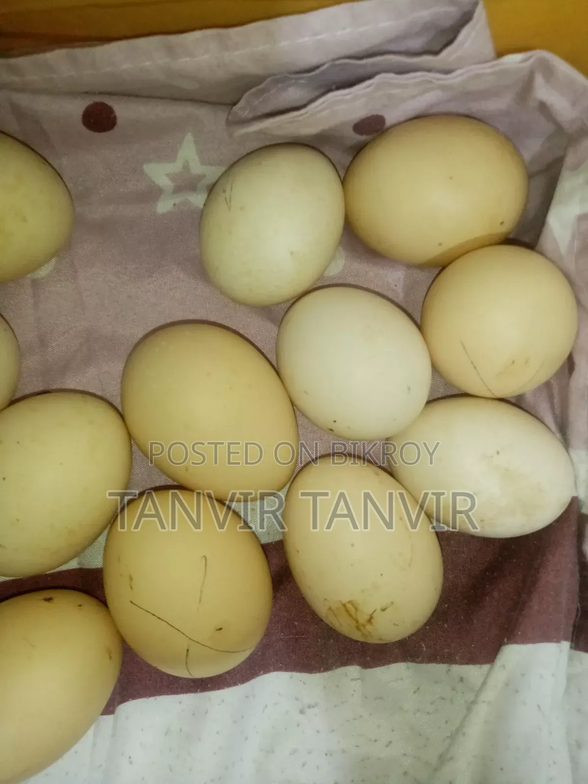 Fawmi Chicken Hatching Eggs, Available in any quantity. Pair 38 Tk