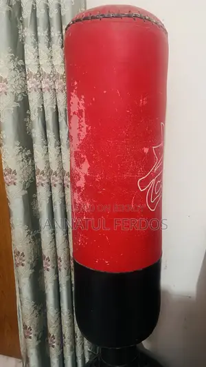 Boxing Bag