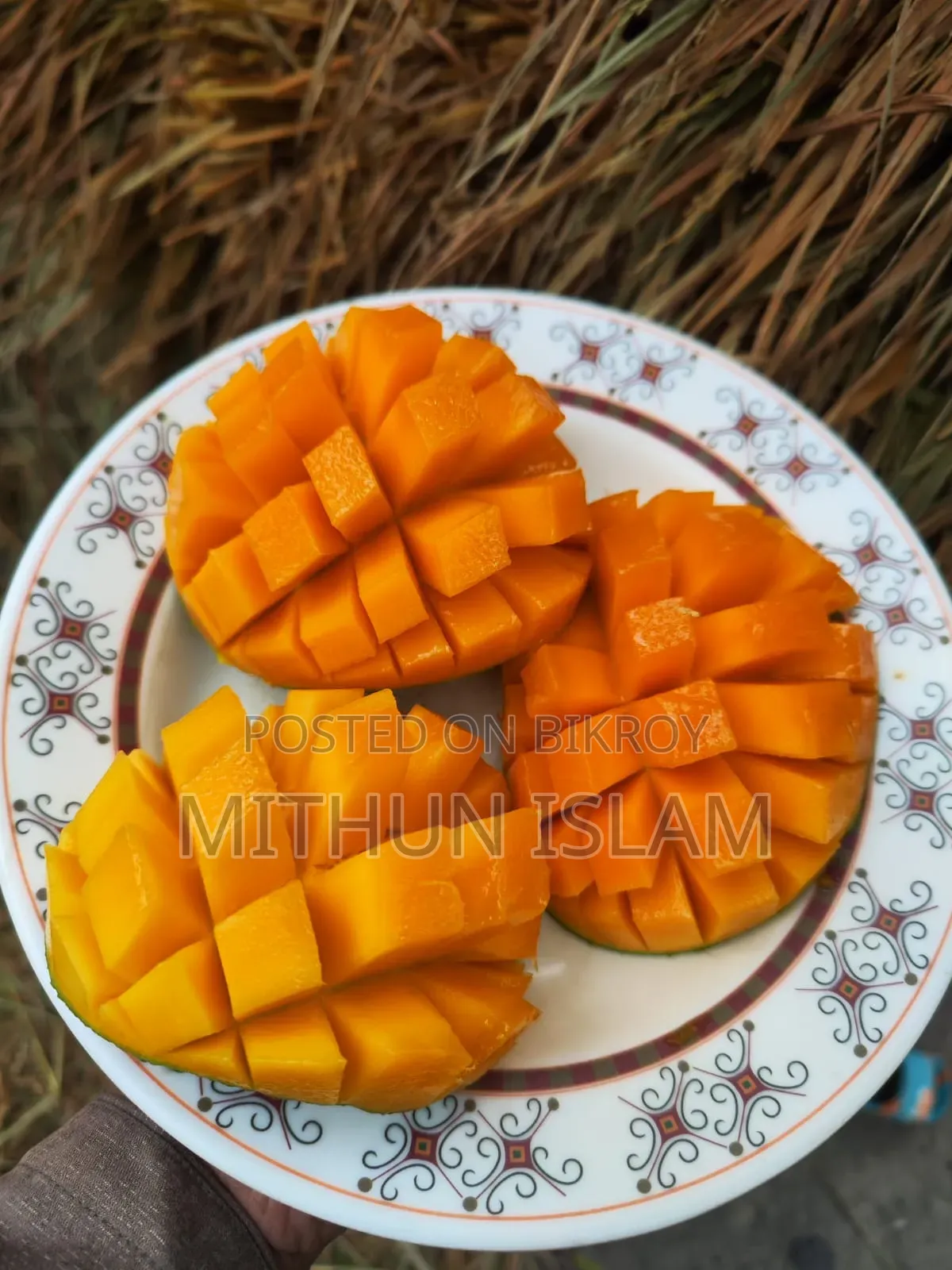 Satkhira's famous sweet Himsagar mango!