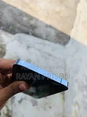 New Apple iPhone 13 Pro Max 256 GB Blue
