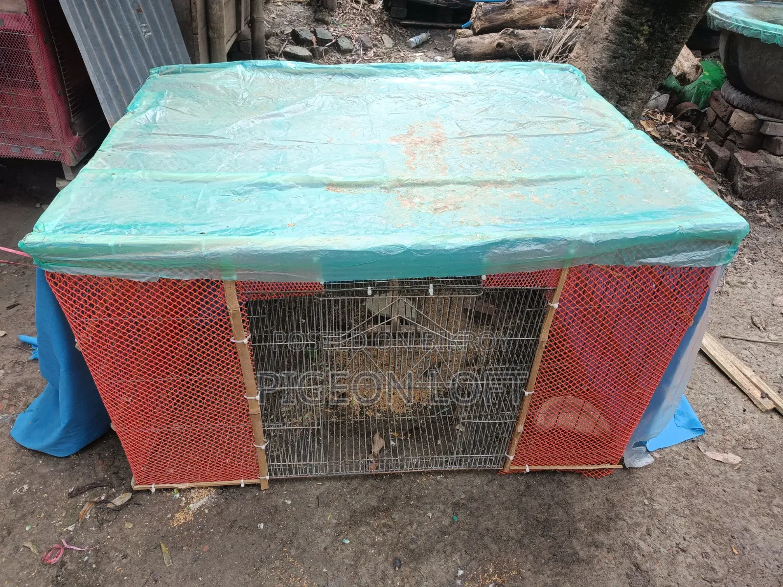 বড় পাখির খাচা