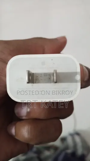 iPhone Original Charger