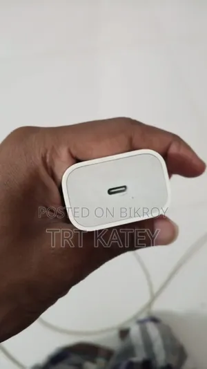 iPhone Original Charger
