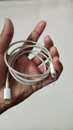 iPhone Original Charger
