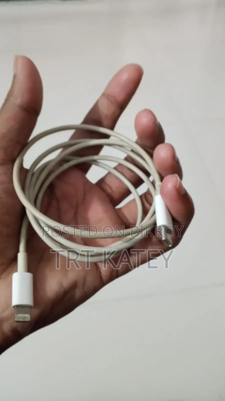 iPhone Original Charger