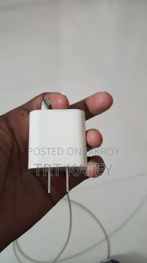 iPhone Original Charger