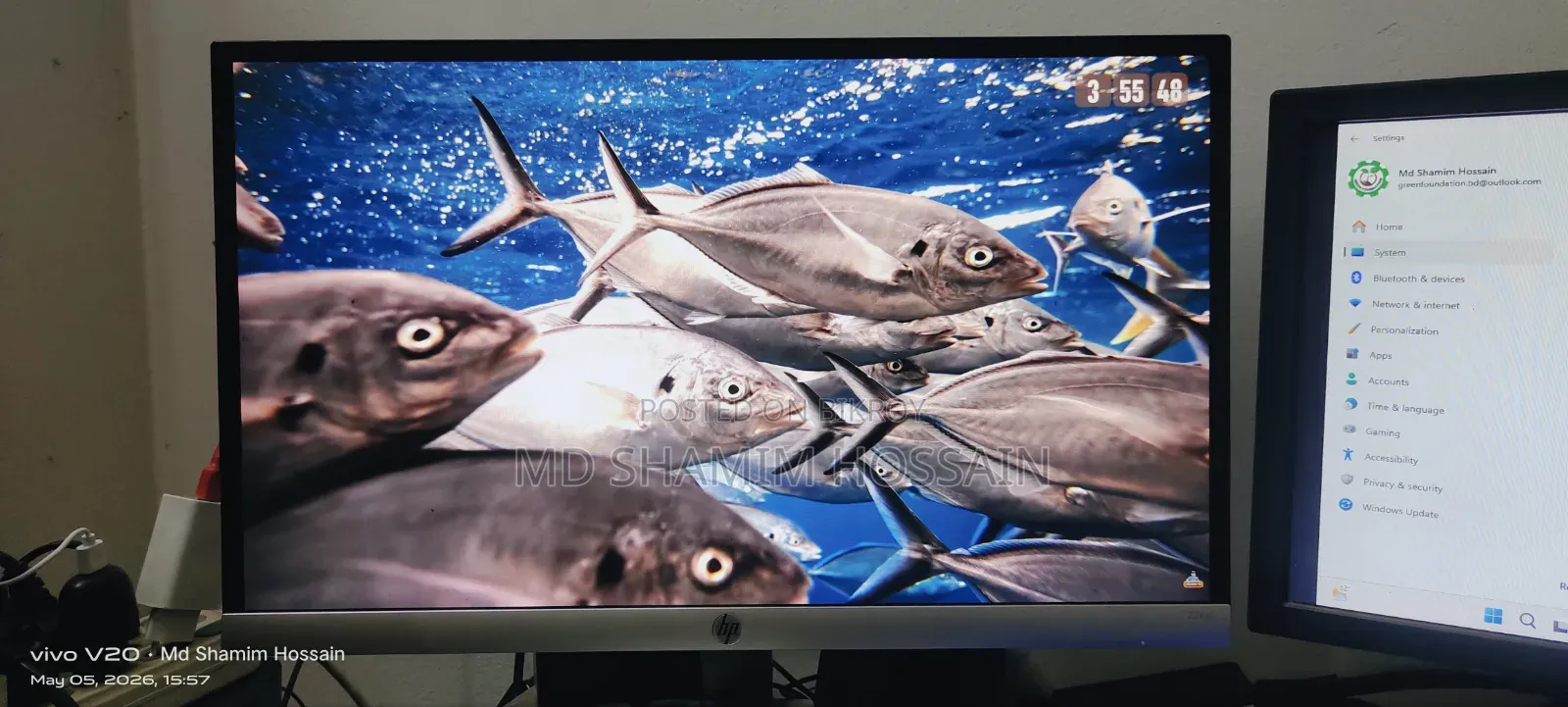 HP Borderless Monitor