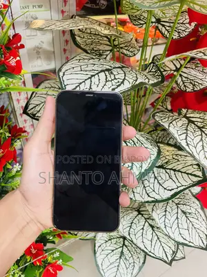 Apple iPhone 12 Pro Max 256 GB Gold