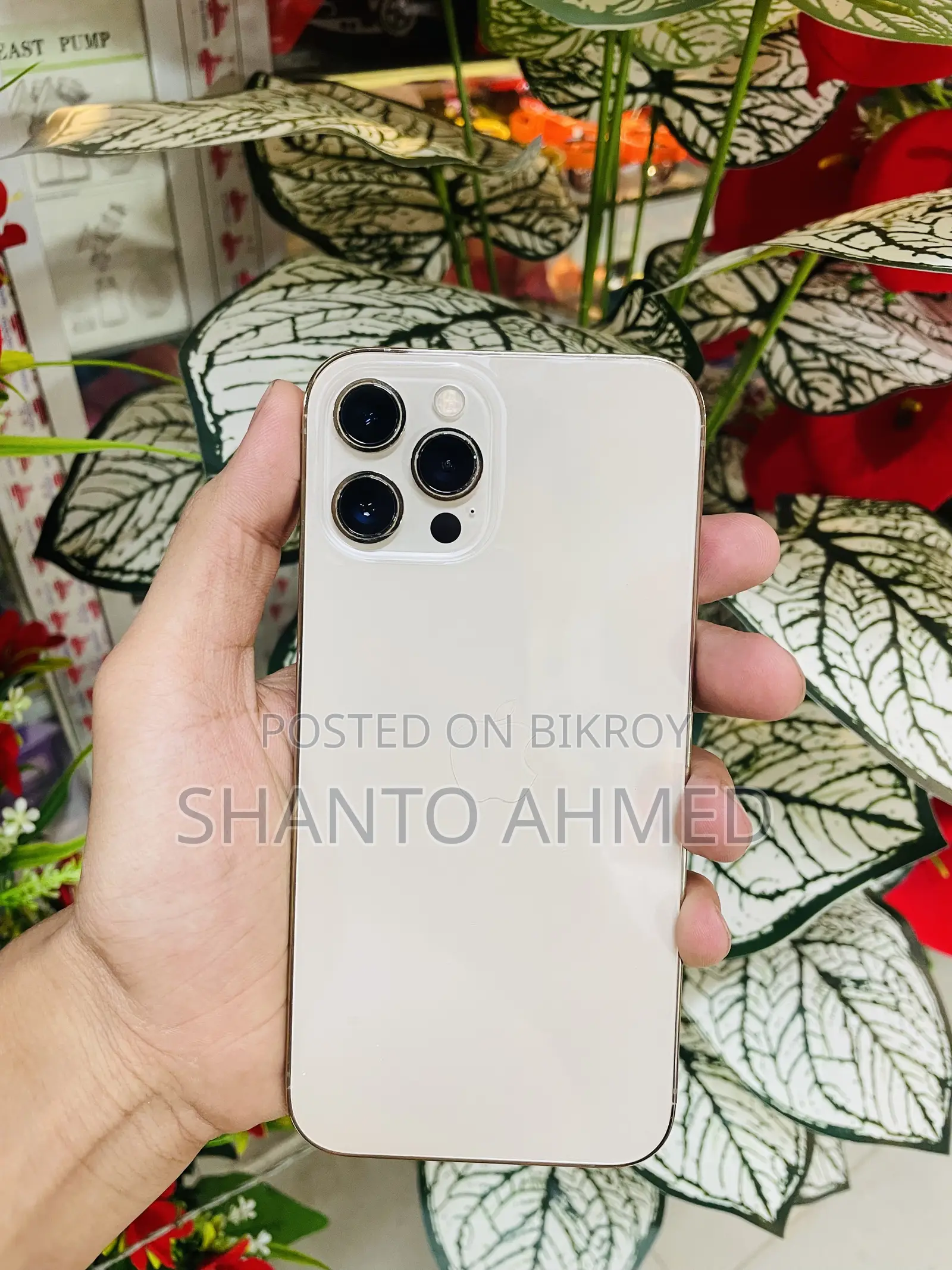 Apple iPhone 12 Pro Max 256 GB Gold