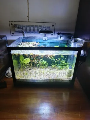Complete Shrimp Aquarium Setup for Sale