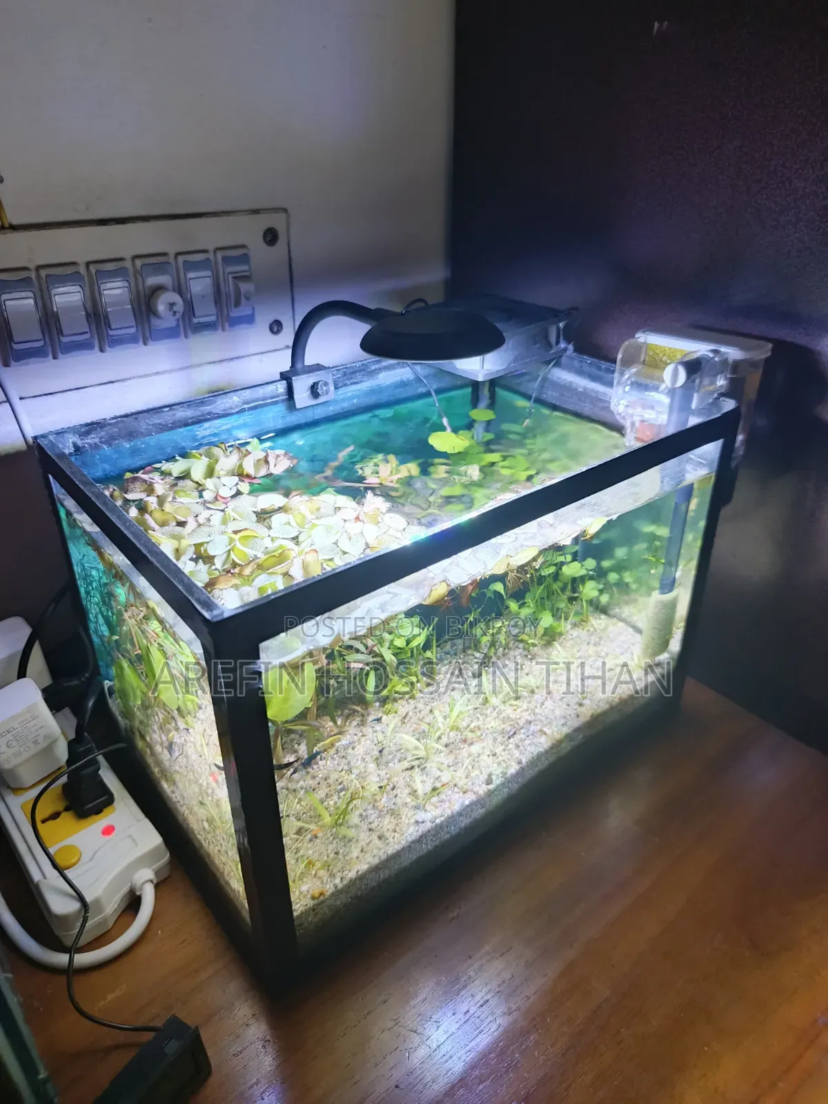 Complete Shrimp Aquarium Setup for Sale