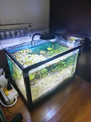 Complete Shrimp Aquarium Setup for Sale