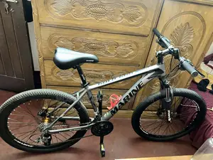 Marine Gold-600 Bicycle