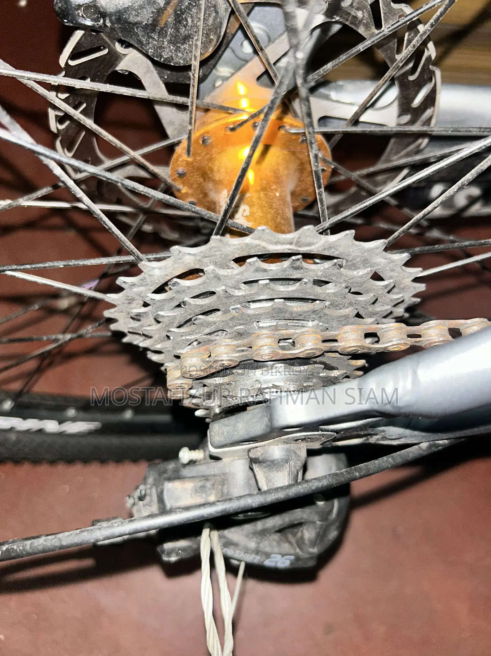 Marine Gold-600 Bicycle