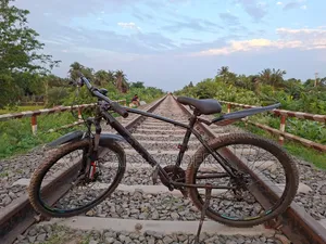 Seventy One Warrior 2.0