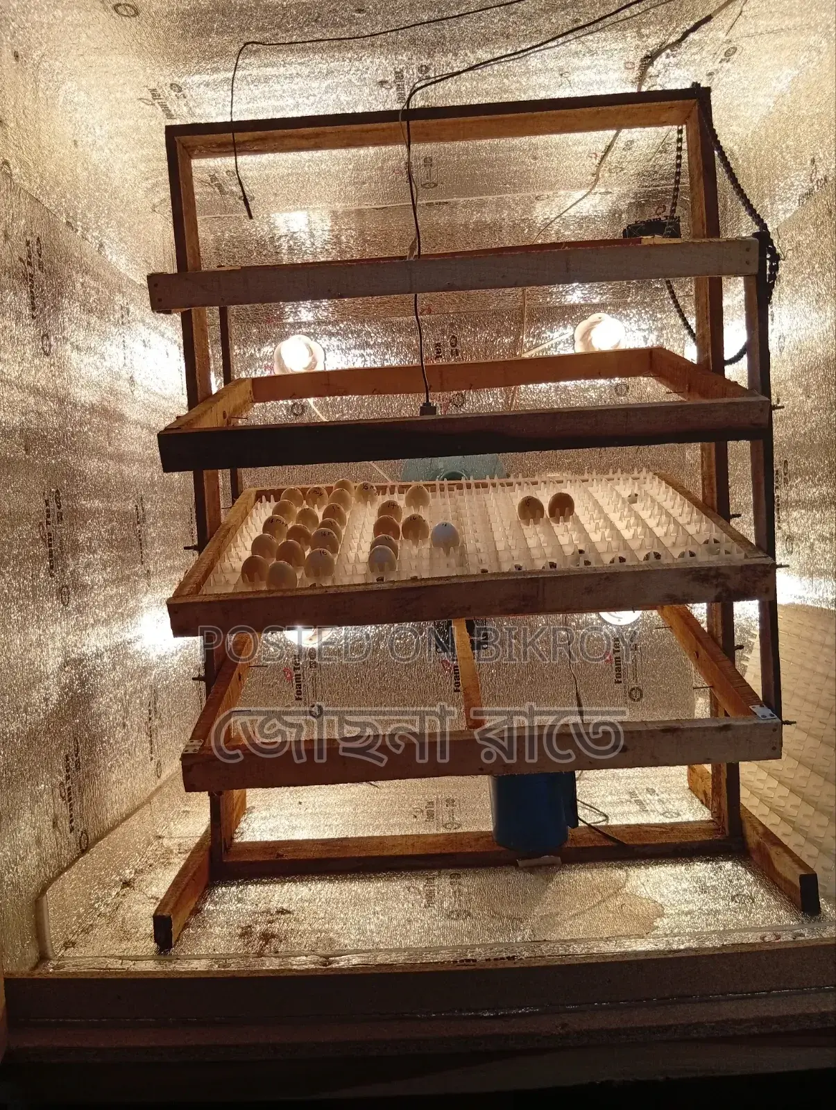 1000 Egg Incubator