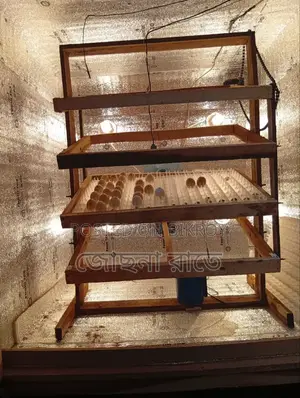 1000 Egg Incubator