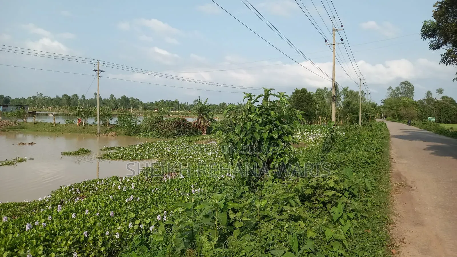 Land for Sale