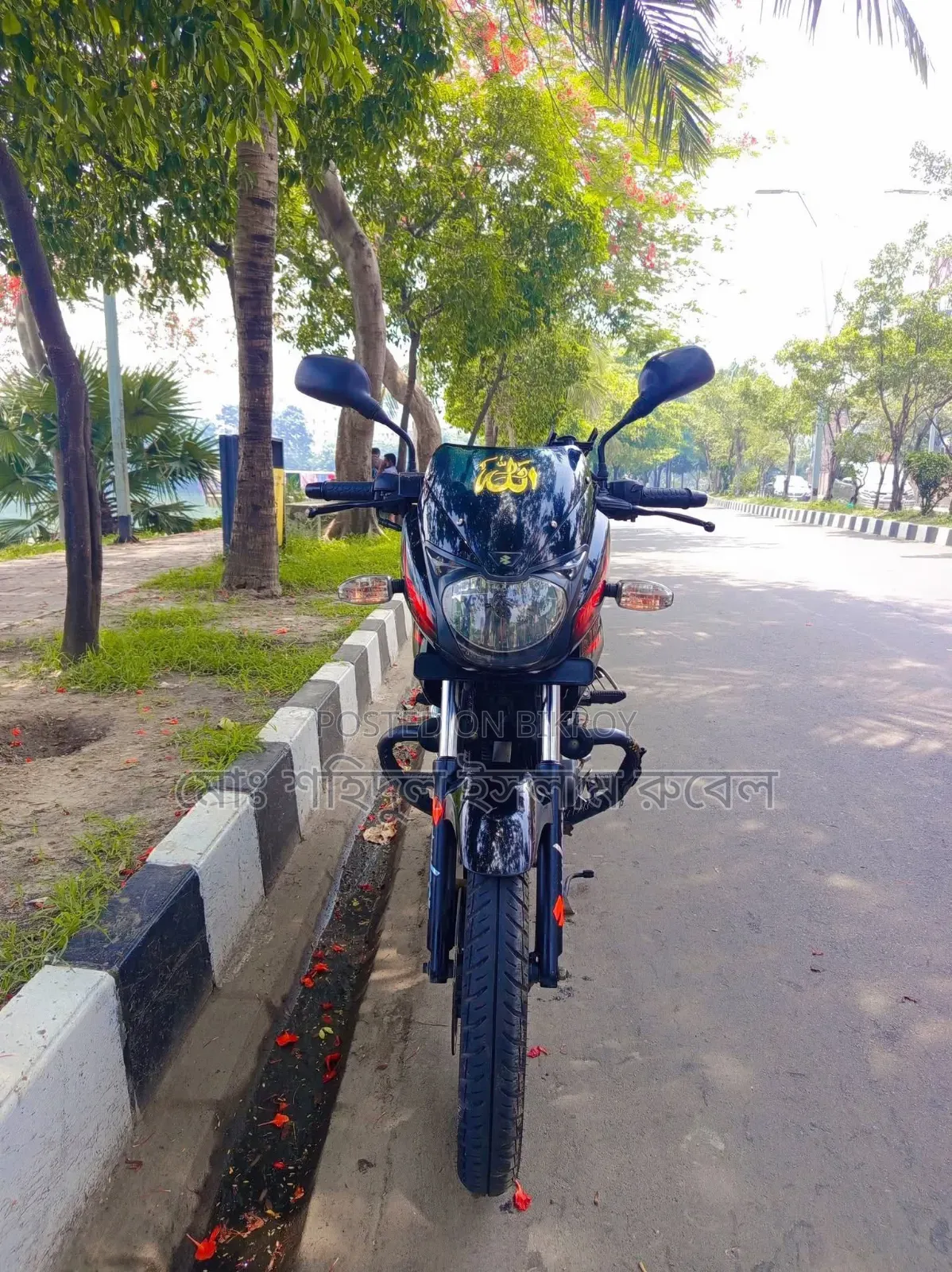 Bajaj Pulsar 150 2019 Black
