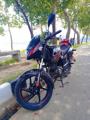 Bajaj Pulsar 150 2019 Black