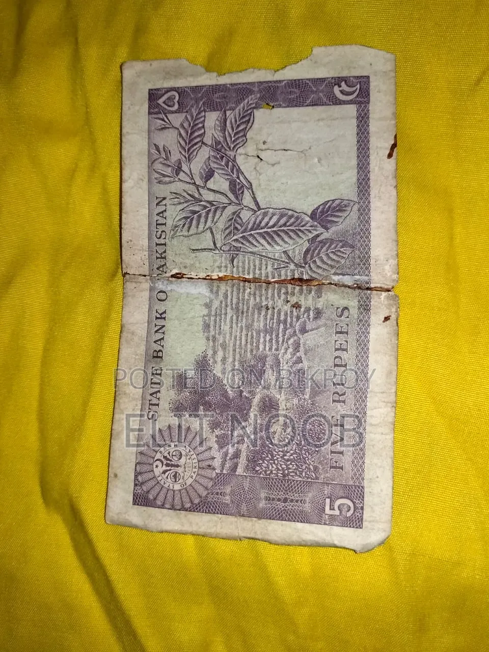 Old Coins and Notes.