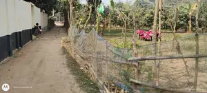 আশুলিয়ার তাজপুর গ্রামে ১১ শতাংশ জমি বিক্রয় হবে।