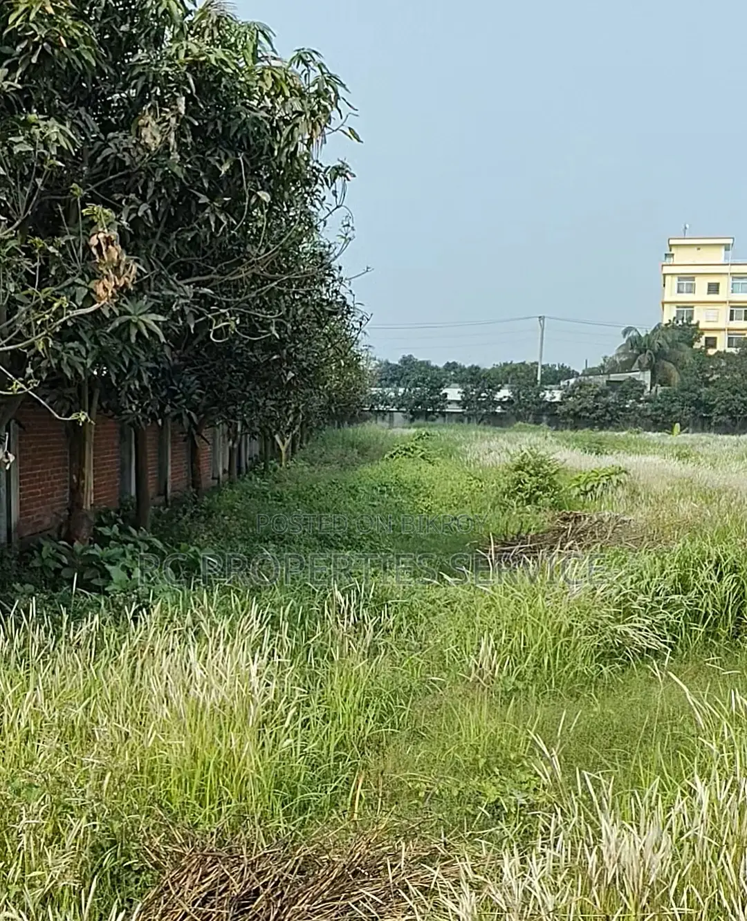 7 Bigha Land Rent