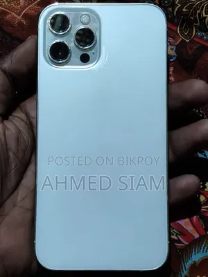 Apple iPhone 12 Pro Max 256 GB Silver