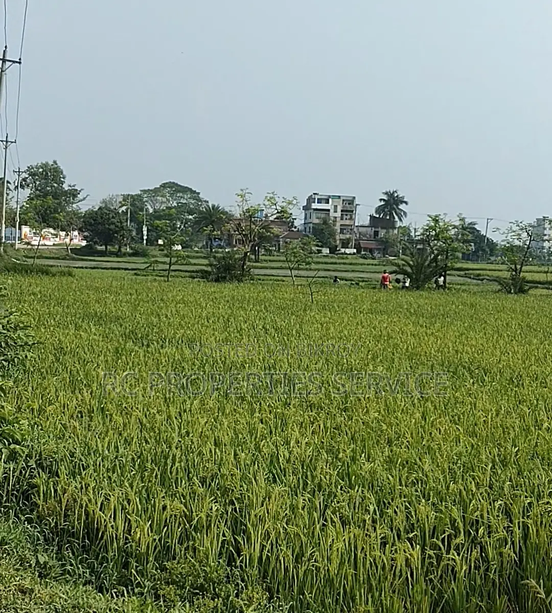20 Bigha Industrial Land Rent In Gazipur