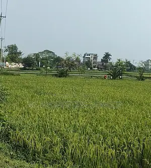20 Bigha Industrial Land Rent In Gazipur