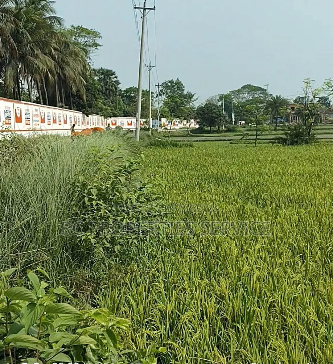 20 Bigha Industrial Land Rent In Gazipur