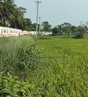 20 Bigha Industrial Land Rent In Gazipur