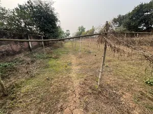 মধুমতি মডেল টাউনে ৪০ ফিট প্রশস্ত রোডের সাথে ৫ কাঠা জমি বিক্রি হবে