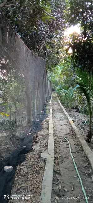 ভূমি ও প্লট ভাড়া