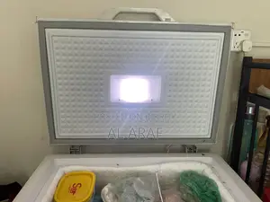 Chest Fridge