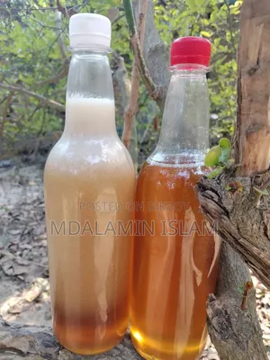 সুন্দর বনের খাটি মধু