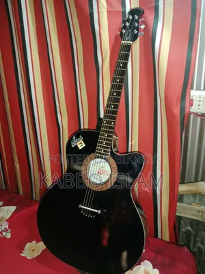 Brand New Guitar
