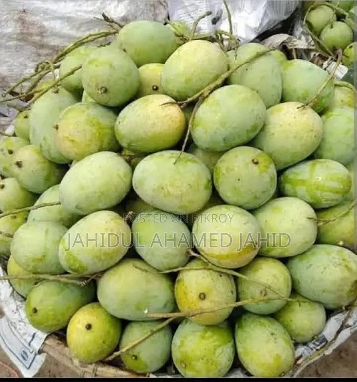 সাতক্ষীরার গোবিন্দভোগ আম