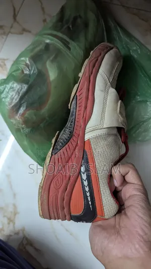 সেগা ক্রিকেট স্পাইক