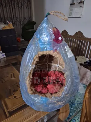 বিড়াল এর বাসা