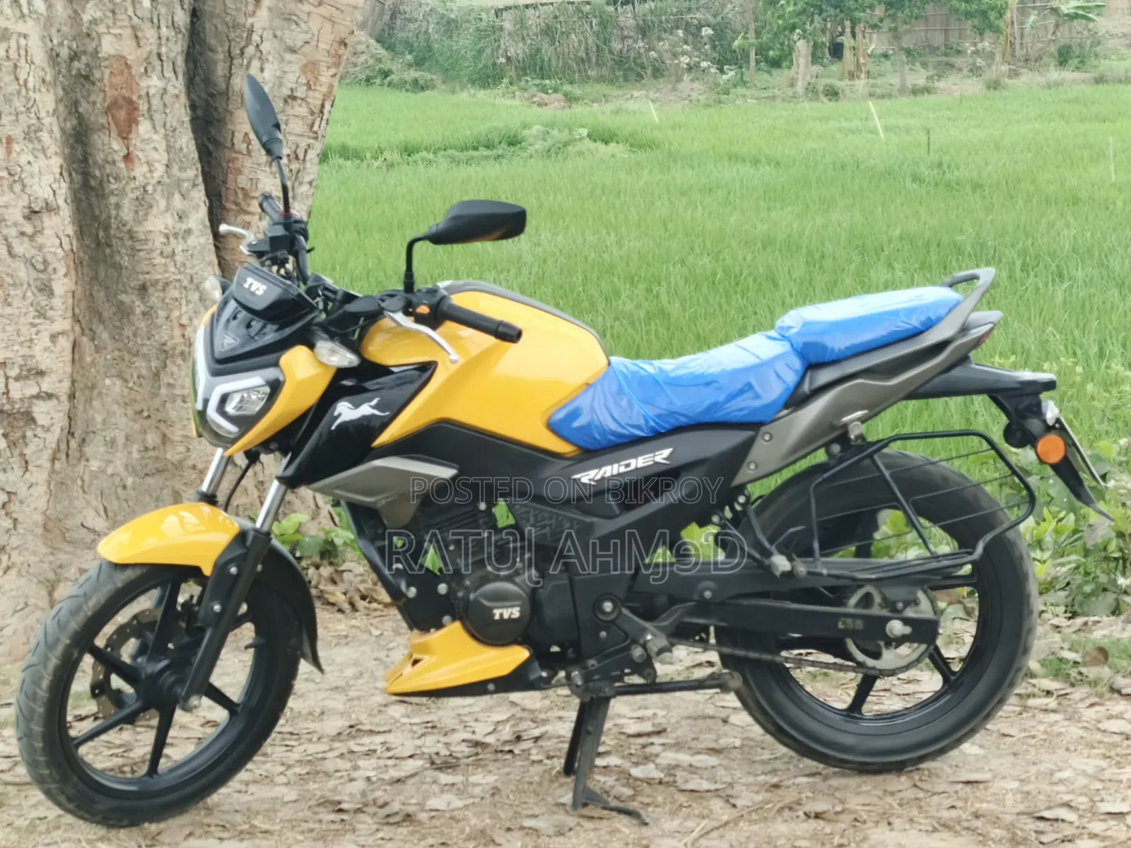 New TVS Raider 125 2023 Yellow