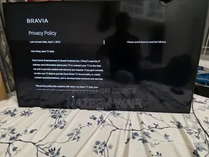 Sony Bravia Television