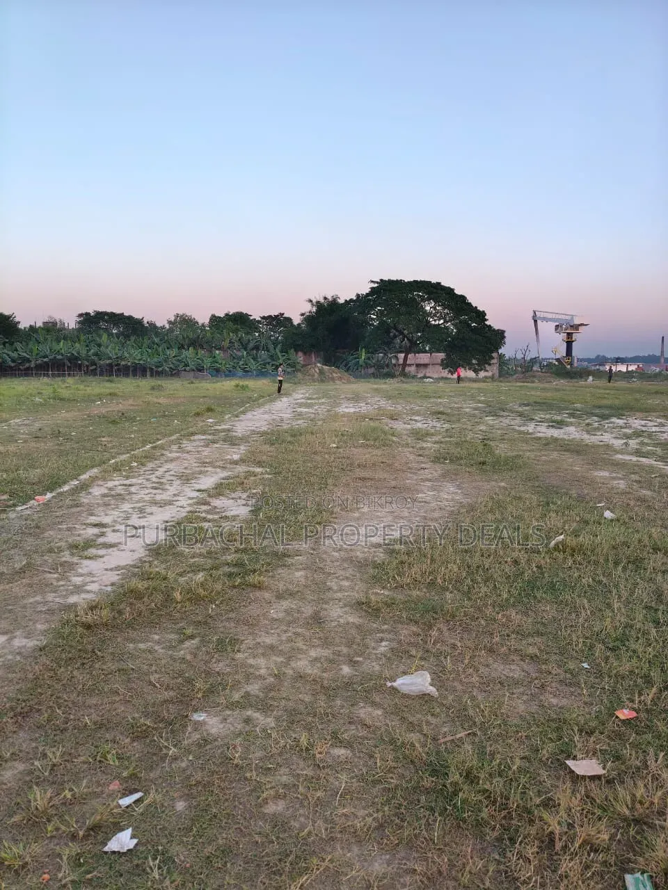 250 Decimal Ready Commercial Land for Sale Adjacent to Dhaka-Chattogram Highway