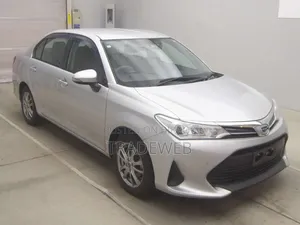 Toyota Axio 2021 Silver