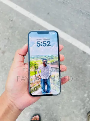 অ্যাপল আইফোন ১৩ প্রো ২৫৬ জিবি ব্লু