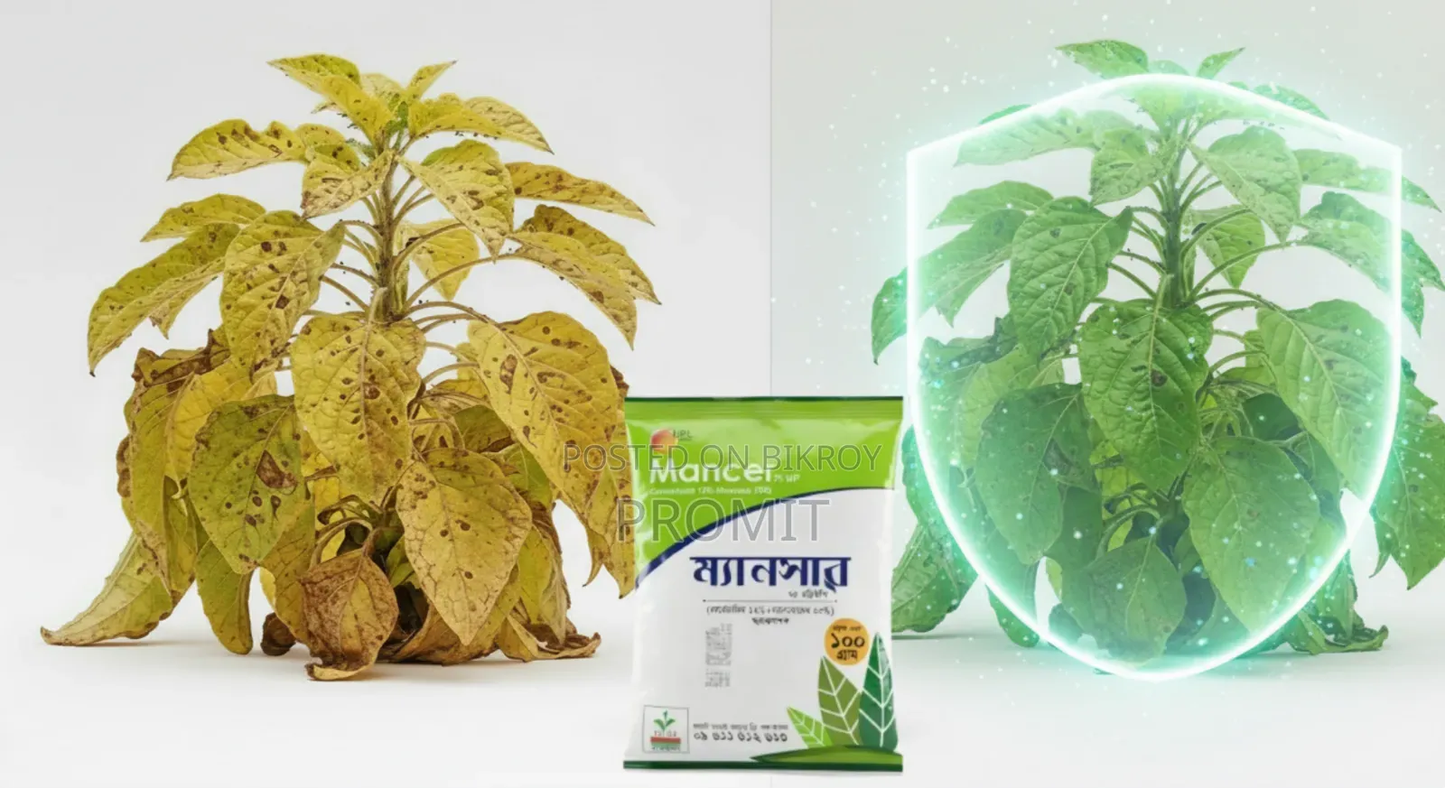 Mancer 75wp (Fungicide) - 100gm