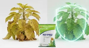 Mancer 75wp (Fungicide) - 100gm
