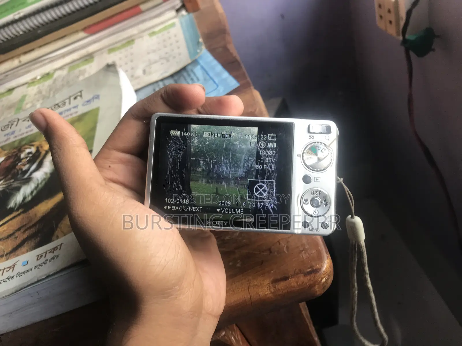 Cybershot DSC W290